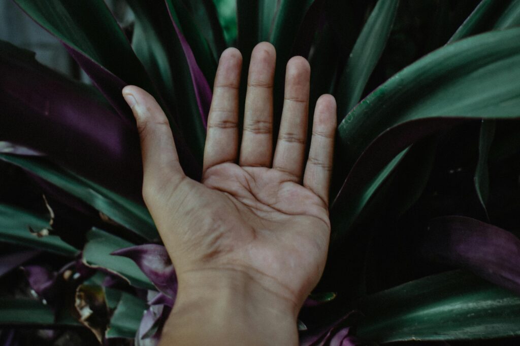 A hand reaching out to vibrant green and purple leaves, capturing nature's beauty.